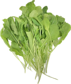 Rúgula – Agrícola BioFarm